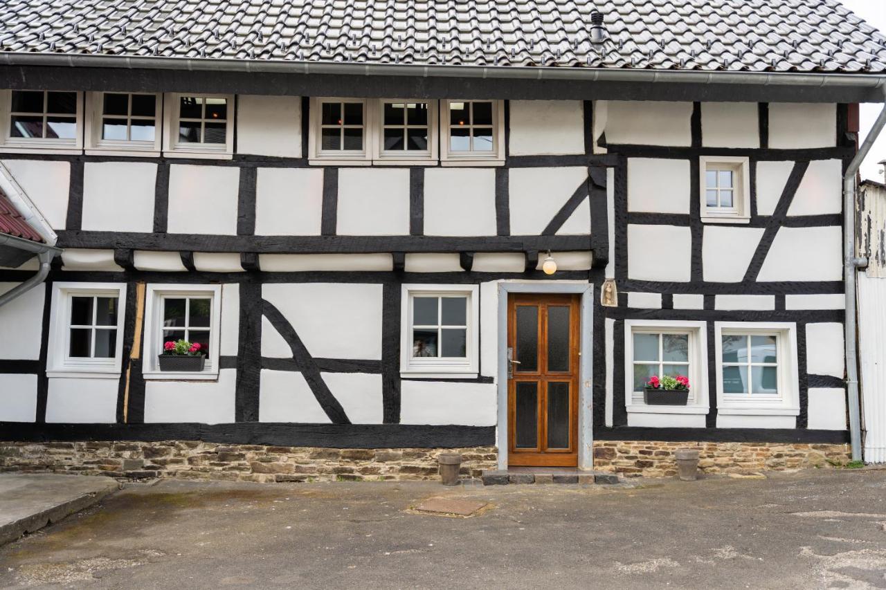 הוילה אדנאו Haus Zum Ring מראה חיצוני תמונה